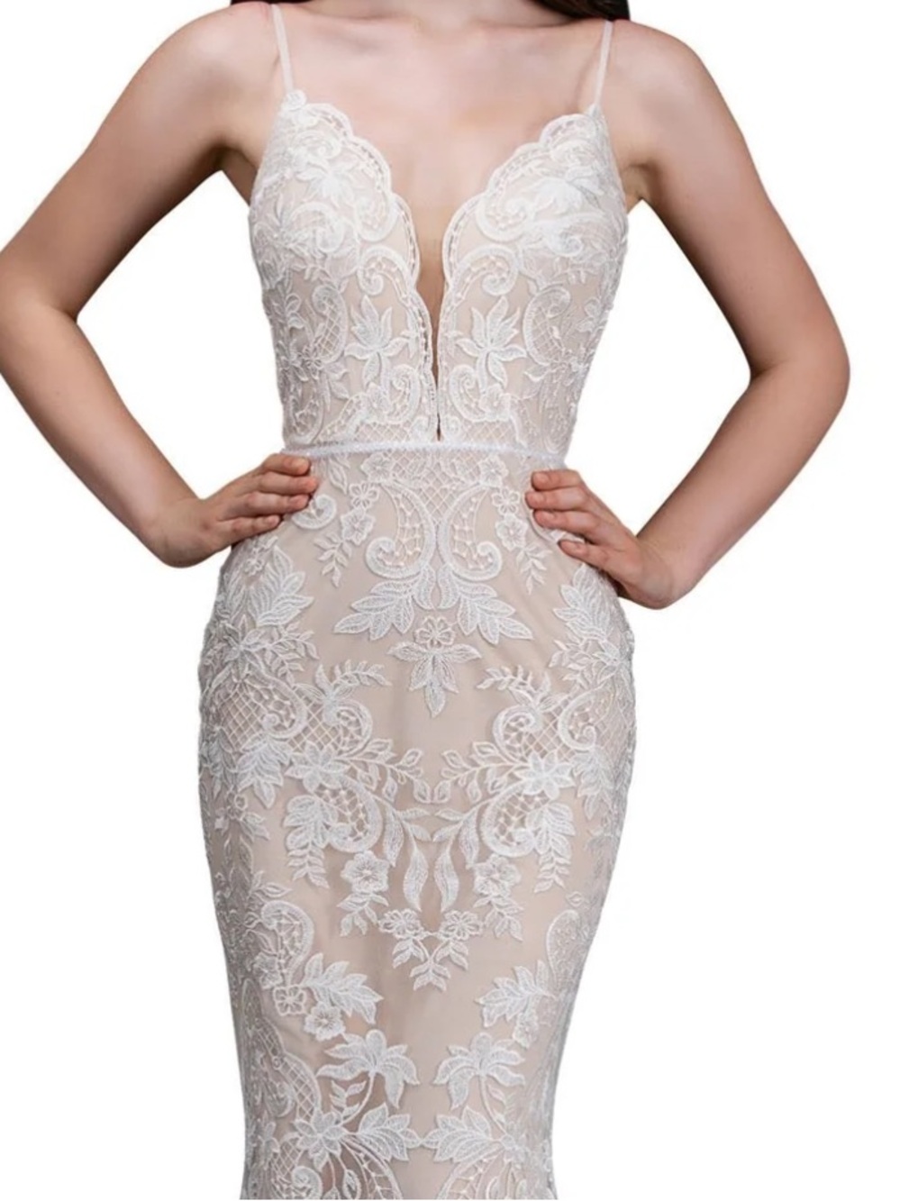 Nina Canacci Ivory Lace Mermaid Gown over Nude Illusion